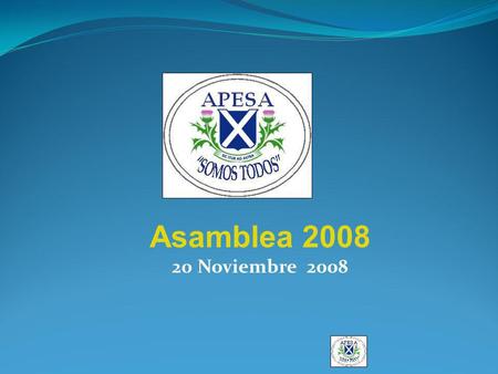 Asamblea 2008 20 Noviembre 2008. Contenidos  Que es APESA  Actividades desarrolladas durante el 2008  Balance de Caja  Proyectos 2009  Otras actividades.