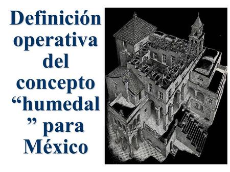 Definición operativa del concepto “humedal” para México