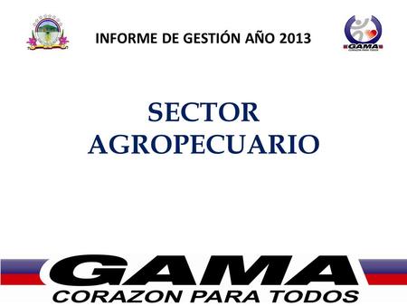 INFORME DE GESTIÓN AÑO 2013 SECTOR AGROPECUARIO. Porcentaje de distribución del presupuesto ejecutado sector Agropecuario.