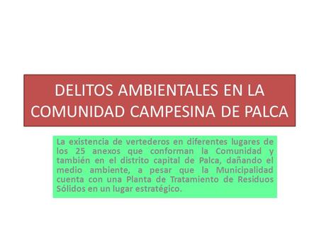 DELITOS AMBIENTALES EN LA COMUNIDAD CAMPESINA DE PALCA