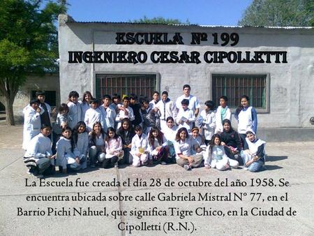 La Escuela fue creada el día 28 de octubre del año 1958. Se encuentra ubicada sobre calle Gabriela Mistral Nº 77, en el Barrio Pichi Nahuel, que significa.