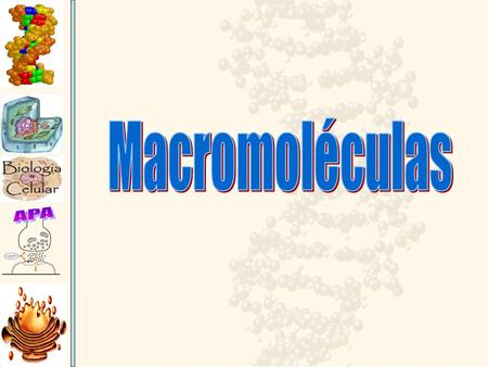 Macromoléculas.