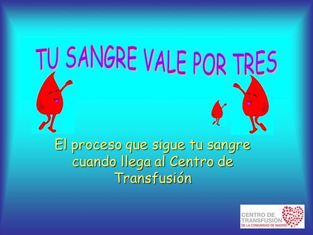 El proceso que sigue tu sangre cuando llega al Centro de Transfusión