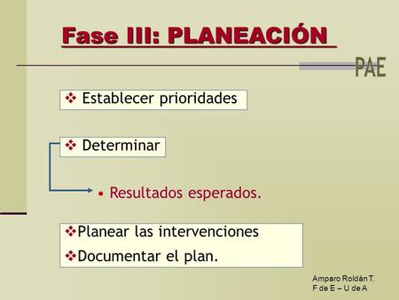  Planear las intervenciones  Documentar el plan. Fase III: PLANEACIÓN  Establecer prioridades  Determinar Resultados esperados. Amparo Roldán T. F.