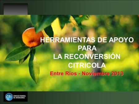 HERRAMIENTAS DE APOYO PARA LA RECONVERSIÓN CITRICOLA Entre Ríos - Noviembre 2013.