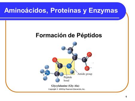 Aminoácidos, Proteínas y Enzymas