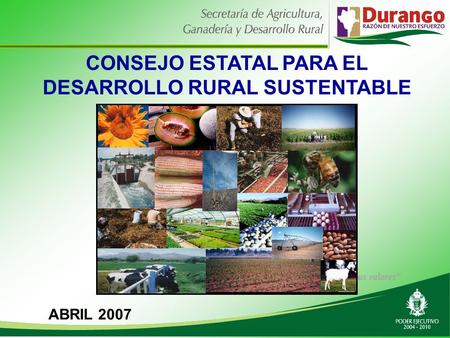 CONSEJO ESTATAL PARA EL DESARROLLO RURAL SUSTENTABLE ABRIL 2007.