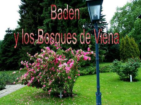 Baden, pequeña y graciosa, localizada al sur de Viena, es uno de los puntos turísticos más visitados de Austria...