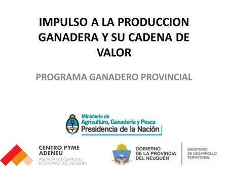 IMPULSO A LA PRODUCCION GANADERA Y SU CADENA DE VALOR PROGRAMA GANADERO PROVINCIAL.