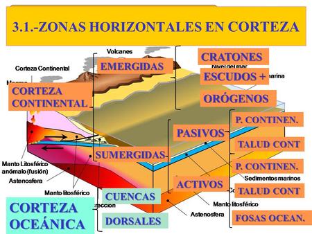 3.1.-ZONAS HORIZONTALES EN CORTEZA