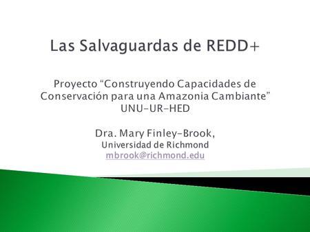 Las Salvaguardas de REDD+ Proyecto “Construyendo Capacidades de Conservación para una Amazonia Cambiante” UNU-UR-HED Dra. Mary Finley-Brook, Universidad.