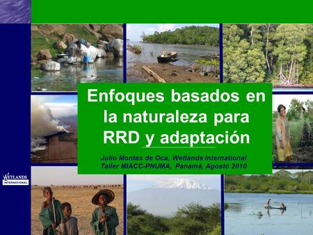 & Enfoques basados en la naturaleza para RRD y adaptación Julio Montes de Oca, Wetlands International Taller MIACC-PNUMA, Panamá, Agosto 2010.