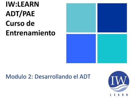 IW:LEARN ADT/PAE Curso de Entrenamiento Modulo 2: Desarrollando el ADT.