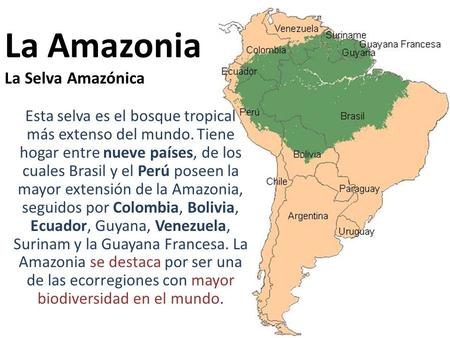 La Amazonia La Selva Amazónica