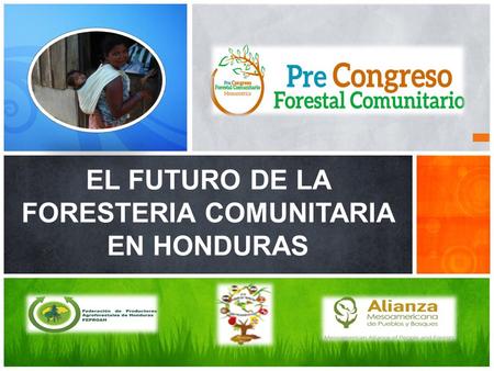 EL FUTURO DE LA FORESTERIA COMUNITARIA EN HONDURAS.