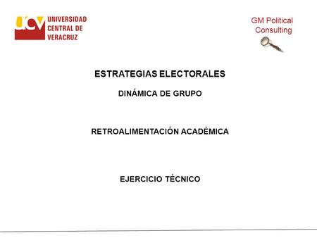 ESTRATEGIAS ELECTORALES DINÁMICA DE GRUPO RETROALIMENTACIÓN ACADÉMICA EJERCICIO TÉCNICO GM Political Consulting.