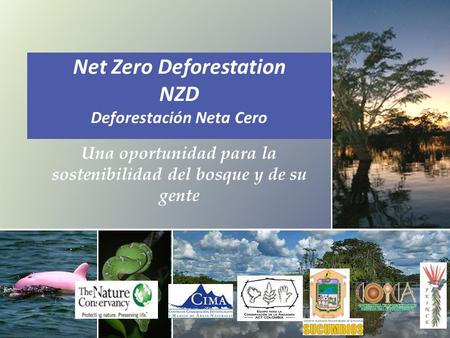  Net Zero Deforestation NZD Deforestación Neta Cero Una oportunidad para la sostenibilidad del bosque y de su gente.