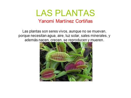 LAS PLANTAS Yanomi Martínez Cortiñas