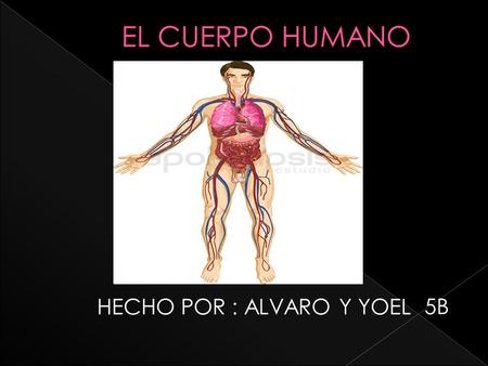 EL CUERPO HUMANO HECHO POR : ALVARO Y YOEL 5B.