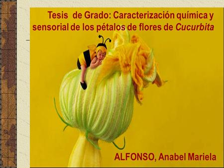 Tesis de Grado: Caracterización química y sensorial de los pétalos de flores de Cucurbita ALFONSO, Anabel Mariela.