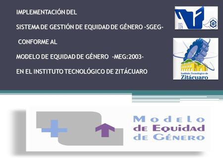 IMPLEMENTACIÓN DEL SISTEMA DE GESTIÓN DE EQUIDAD DE GÉNERO –SGEG- CONFORME AL MODELO DE EQUIDAD DE GÉNERO -MEG:2003- EN EL INSTITUTO TECNOLÓGICO DE.