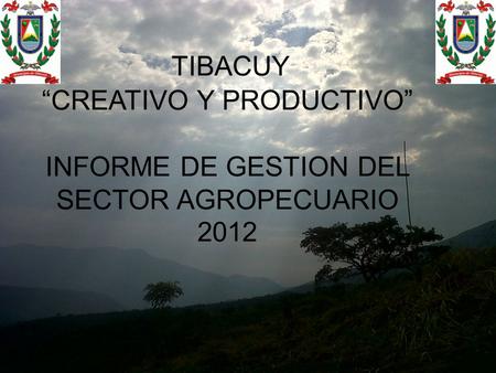 TIBACUY “CREATIVO Y PRODUCTIVO” INFORME DE GESTION DEL SECTOR AGROPECUARIO 2012.