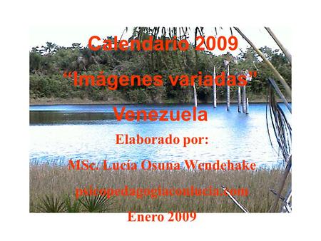 Calendario 2009 “Imágenes variadas” Venezuela Elaborado por: MSc. Lucía Osuna Wendehake psicopedagogiaconlucia.com Enero 2009.