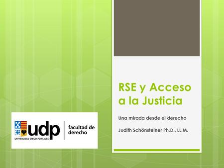 RSE y Acceso a la Justicia Una mirada desde el derecho Judith Schönsteiner Ph.D., LL.M.