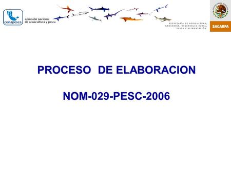 PROCESO DE ELABORACION NOM- PROCESO DE ELABORACION NOM-029-PESC-2006 Abril de 2007.
