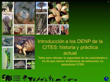 Introducción a los DENP de la CITES: historia y práctica actual