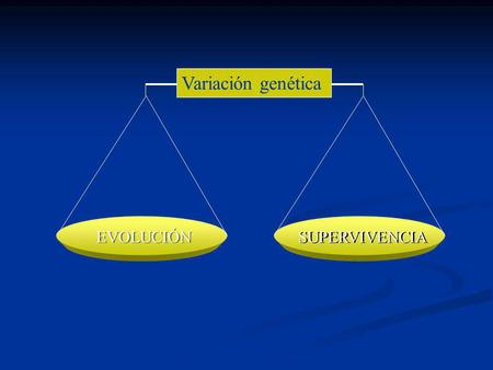Variación genética EVOLUCIÓN SUPERVIVENCIA. El ADN dentro de la célula está sometido a la acción de diferentes agentes (físicos y químicos) que producen.