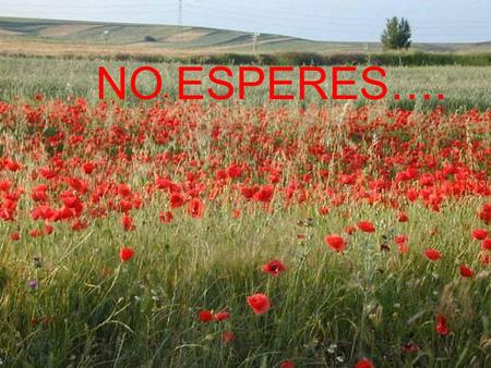 NO ESPERES…..