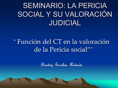 1 SEMINARIO: LA PERICIA SOCIAL Y SU VALORACIÓN JUDICIAL “ Función del CT en la valoración de la Pericia social” ” Beatriz Escobar Andrade.