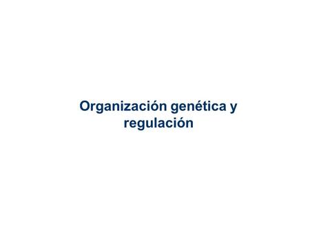 Organización genética y regulación