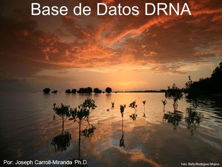 Base de Datos DRNA foto: Rafy Rodríguez Mojica Por: Joseph Carroll-Miranda Ph.D.