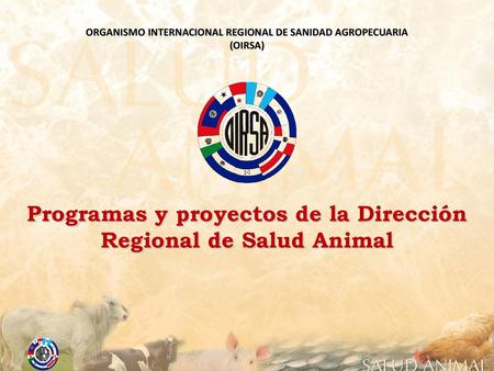 Programas y proyectos de la Dirección Regional de Salud Animal