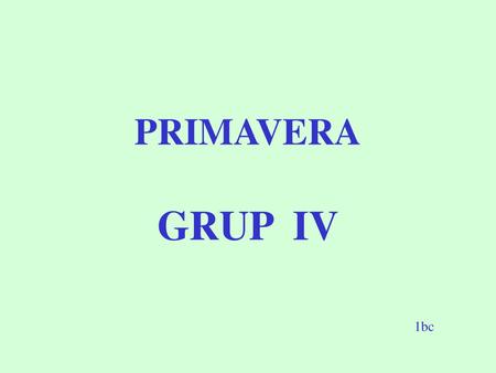 PRIMAVERA GRUP IV 1bc.