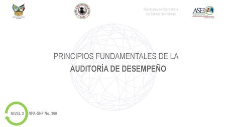 PRINCIPIOS FUNDAMENTALES DE LA AUDITORÌA DE DESEMPEÑO