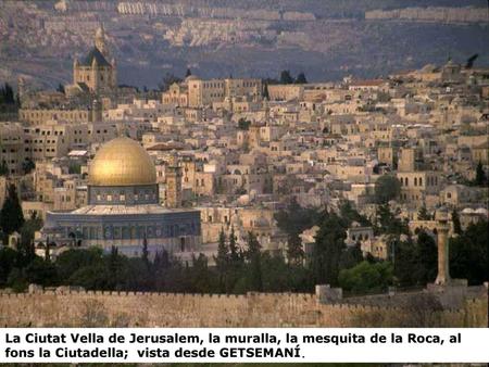 La Ciutat Vella de Jerusalem, la muralla, la mesquita de la Roca, al fons la Ciutadella; vista desde GETSEMANÍ.