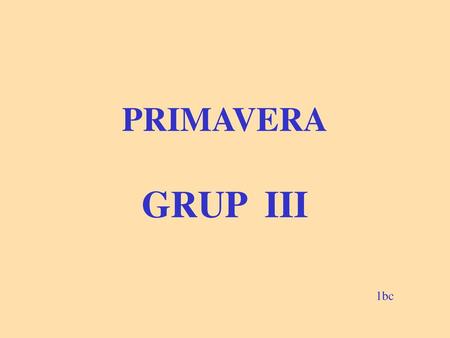 PRIMAVERA GRUP III 1bc.