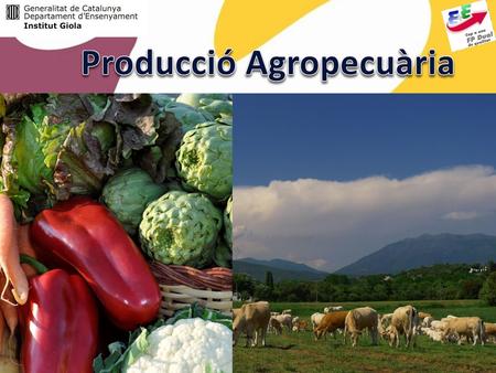 Producció Agropecuària