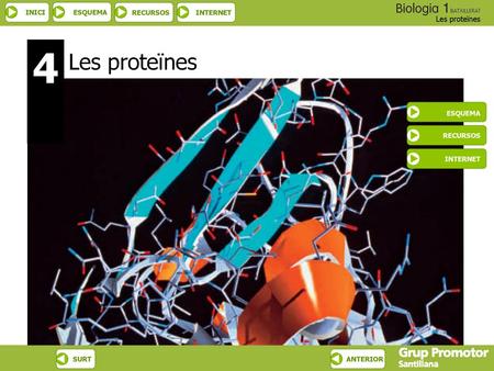 4 Les proteïnes ESQUEMA RECURSOS INTERNET.