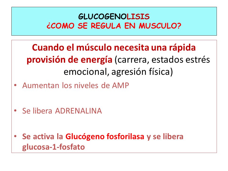 METABOLISMO DE CARBOHIDRATOS PROGRAMA ANALITICO Y/O DE METABOLISMO DE CARBOHIDRATOS PROGRAMA ANALITICO Y/O DE