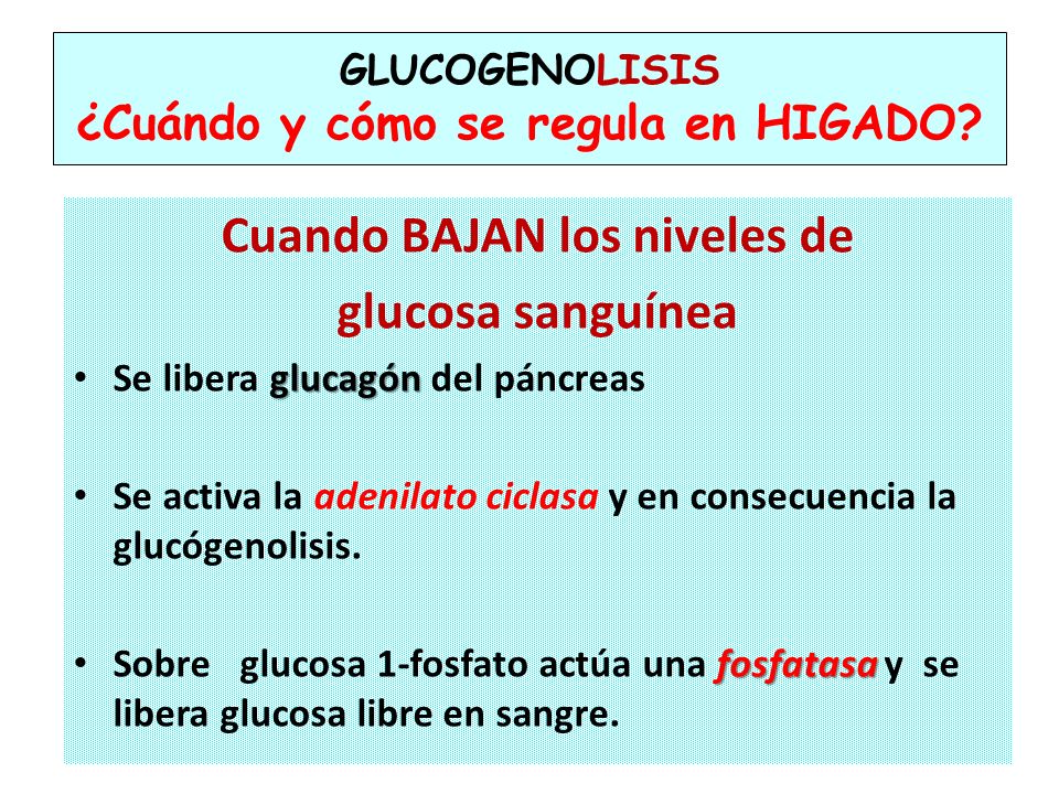 METABOLISMO DE CARBOHIDRATOS PROGRAMA ANALITICO Y/O DE METABOLISMO DE CARBOHIDRATOS PROGRAMA ANALITICO Y/O DE
