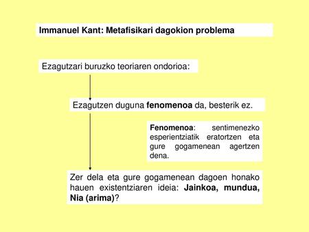 Immanuel Kant: Metafisikari dagokion problema