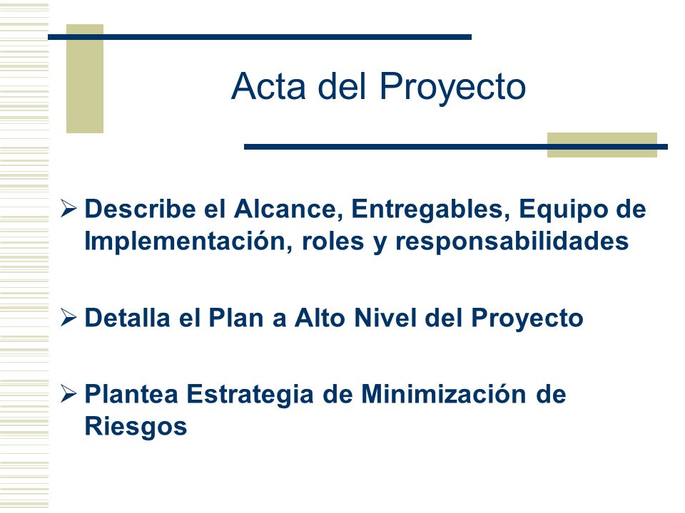 Acta del Proyecto Describe el Alcance, Entregables, Equipo de Implementación, roles y responsabilidades.