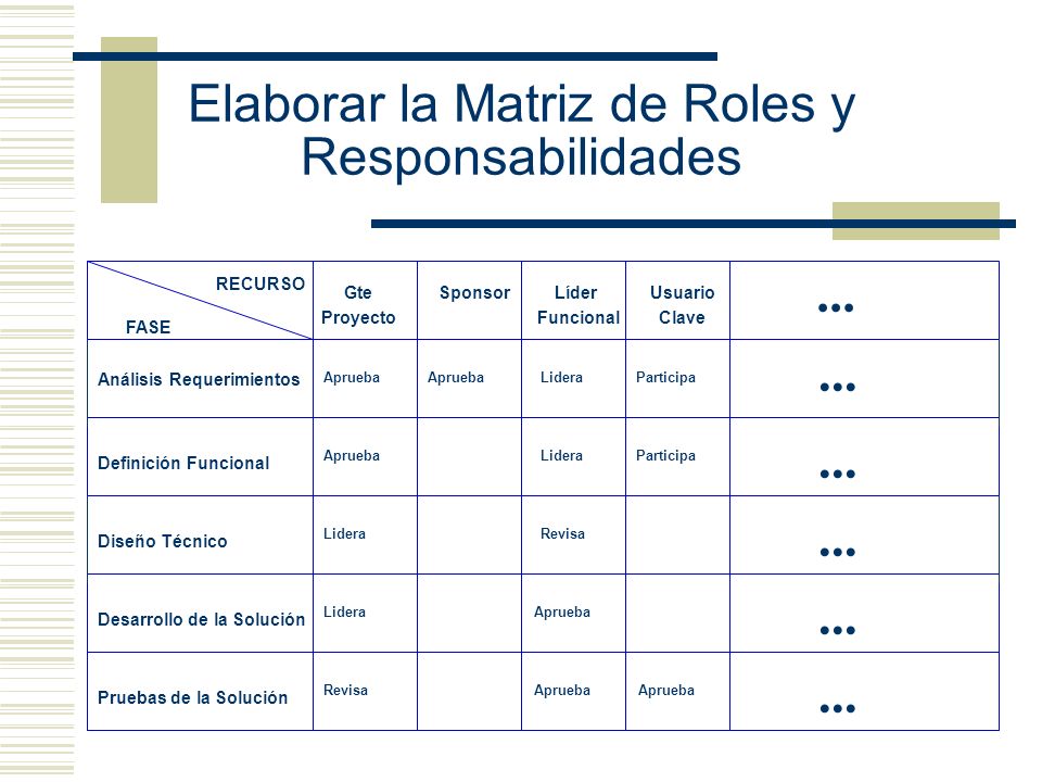 Elaborar la Matriz de Roles y Responsabilidades