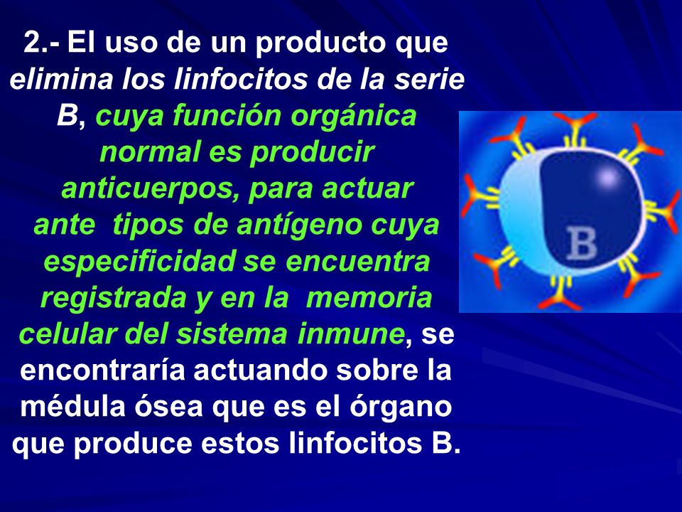 2.- El uso de un producto que elimina los linfocitos de la serie B, cuya función orgánica normal es producir anticuerpos, para actuar ante tipos de antígeno cuya especificidad se encuentra registrada y en la memoria celular del sistema inmune, se encontraría actuando sobre la médula ósea que es el órgano que produce estos linfocitos B.