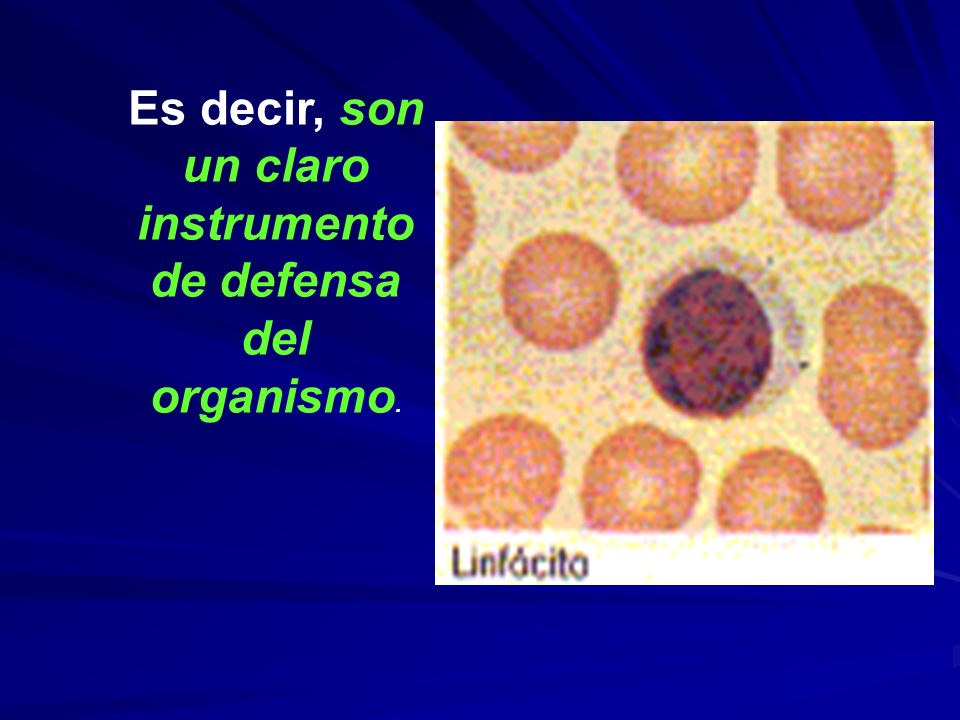 Es decir, son un claro instrumento de defensa del organismo.
