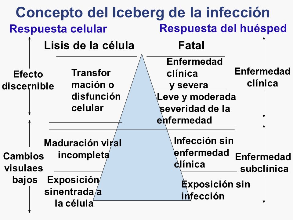 Concepto del Iceberg de la infección